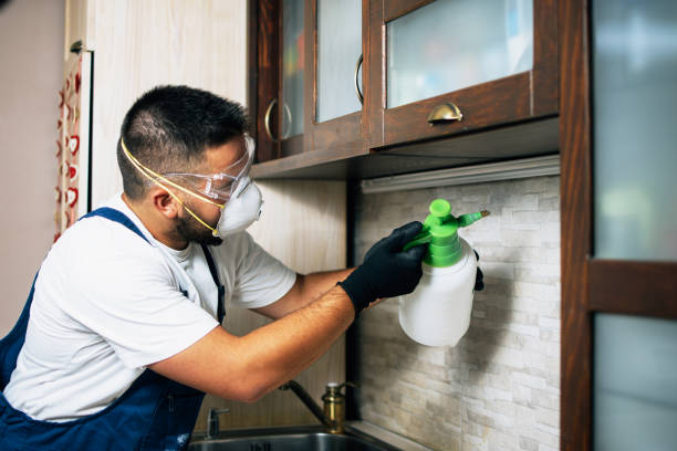 Best Ant Control Services  in Kealakekua, HI