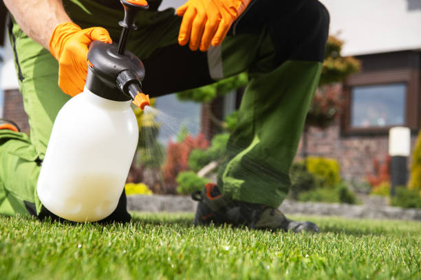 Best Pest Inspection Near Me  in Kealakekua, HI